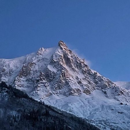 Champaign Powder Apartment Chamonix Bagian luar foto